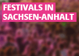Grafik zeigt den Schriftzug Festivals in Sachsen-Anhalt